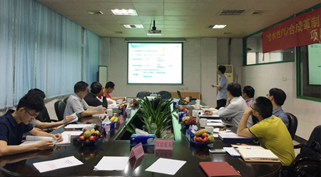 “全水性PU合成革制造關鍵材料開發(fā)及產(chǎn)業(yè)化”項目通過驗收